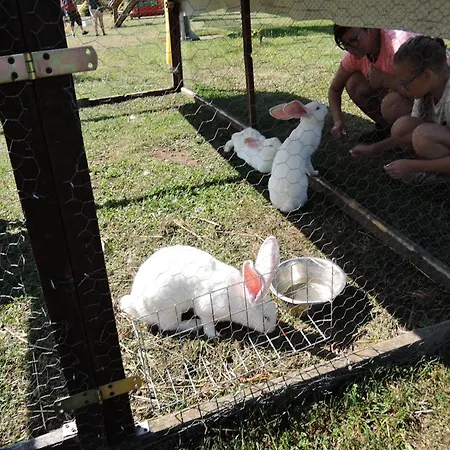 Casa vacanze In By Baltic Sea